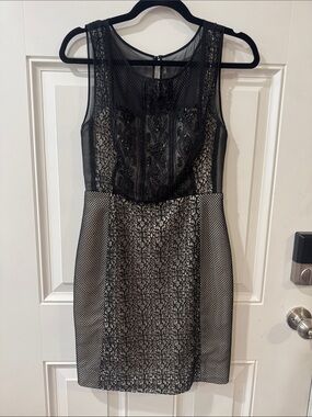 Phoebe Couture Black Lace & Mesh Mini Dress